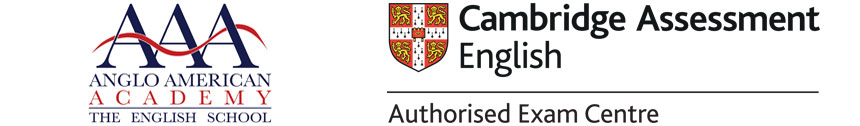 Anglo American Academy Srl